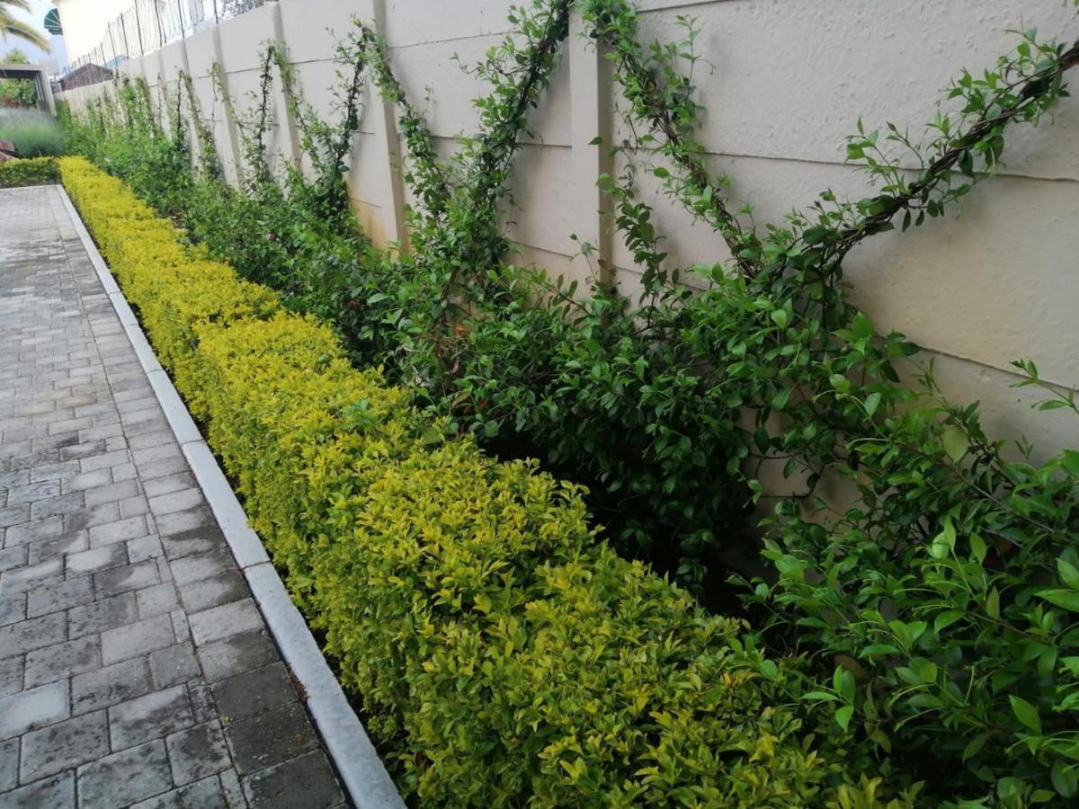Monte Rosa Guesthouse รอว์สันวิลล์ ภายนอก รูปภาพ