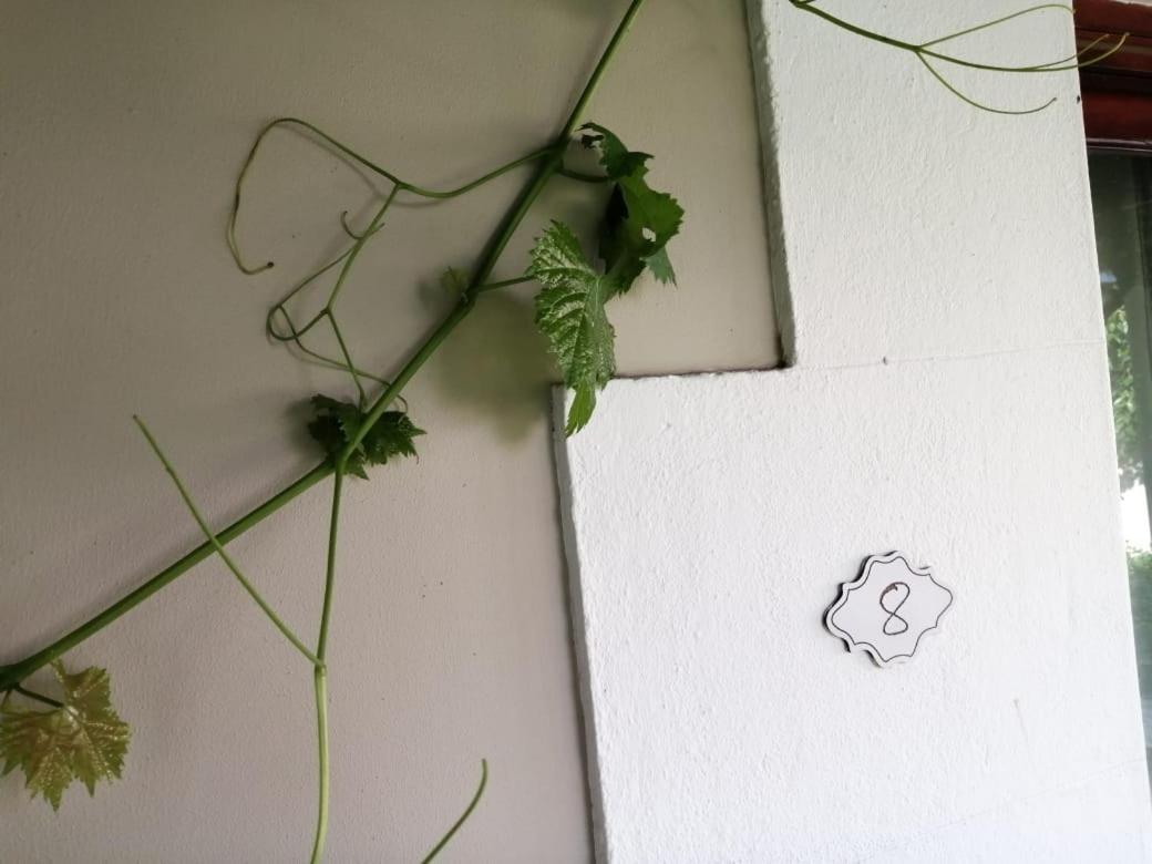 Monte Rosa Guesthouse รอว์สันวิลล์ ภายนอก รูปภาพ