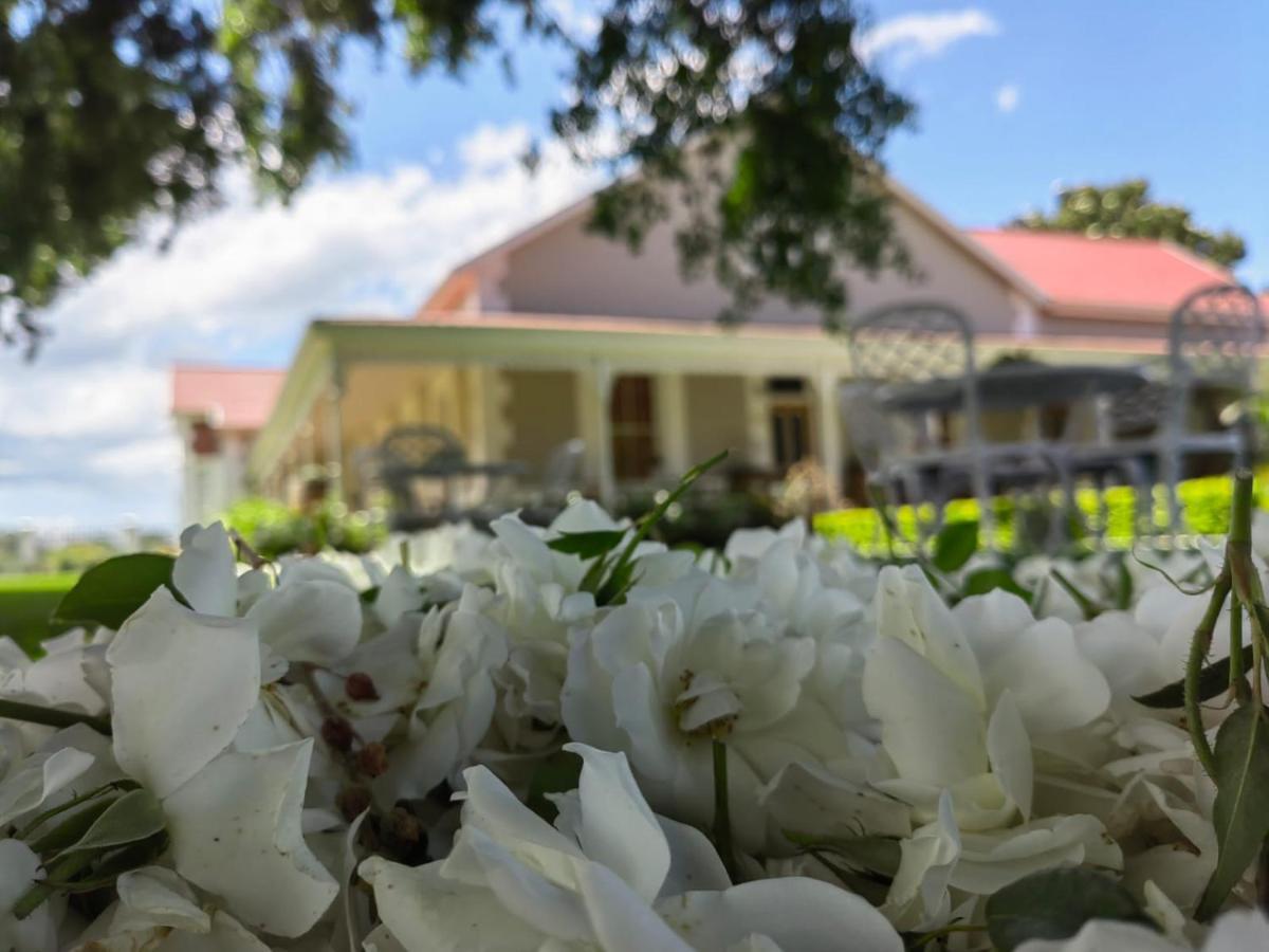 Monte Rosa Guesthouse รอว์สันวิลล์ ภายนอก รูปภาพ